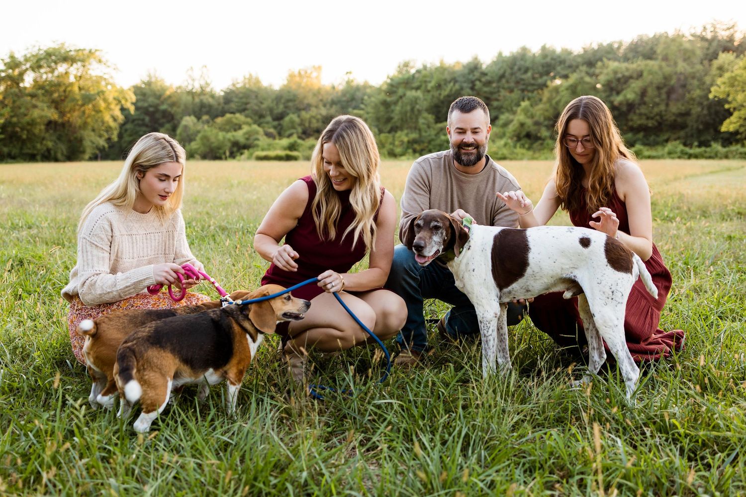 Group sitting in sunny field with three dogs including a beagle and pointer enjoying time together outdoors.