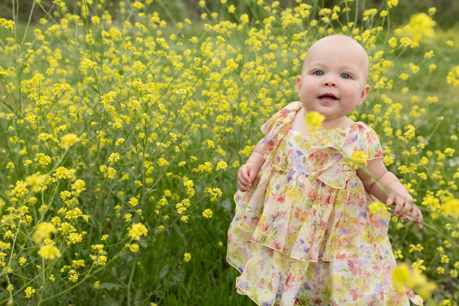 Smiling baby in floral dress standing among yellow wildflowers in sunny field.