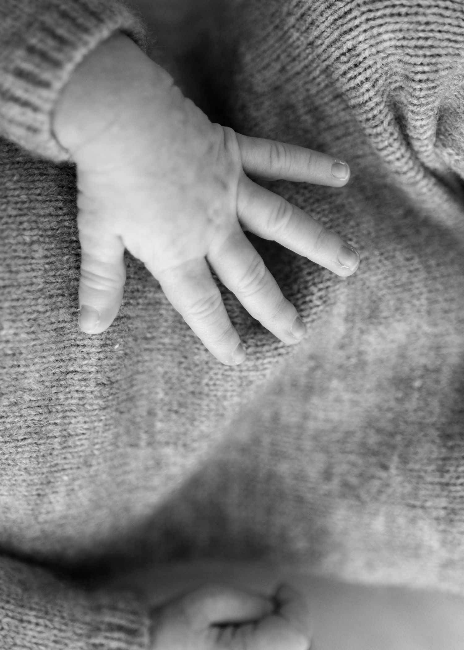 Black and white close-up of small baby hands touching textured fabric in sequence.