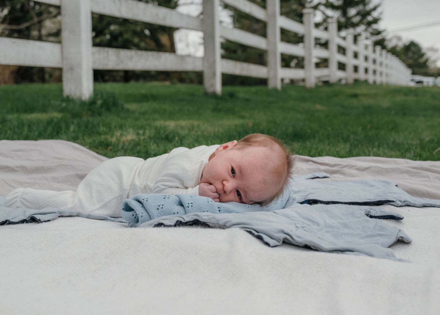 Outdoor newborn photography of a baby resting peacefully in natural light in Prince Edward Island.