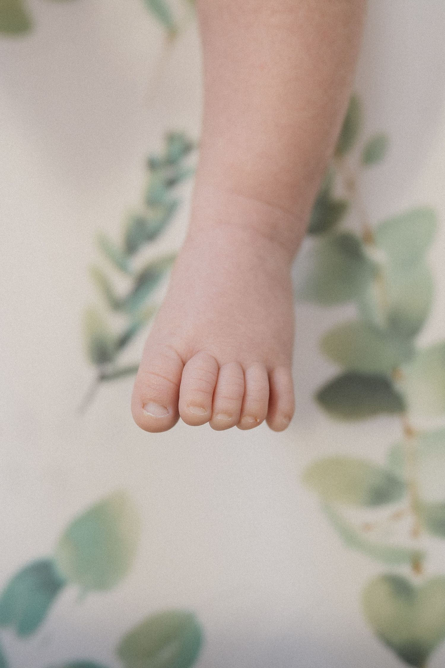 Newborn foot photo from a in-home baby photography session.