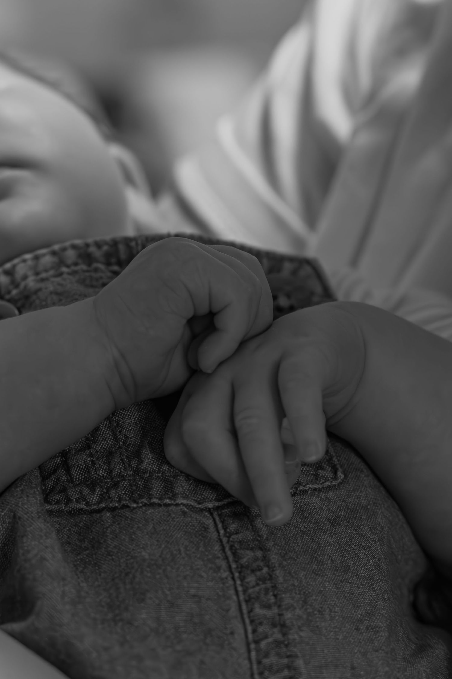 Newborn photography in Prince Edward Island.