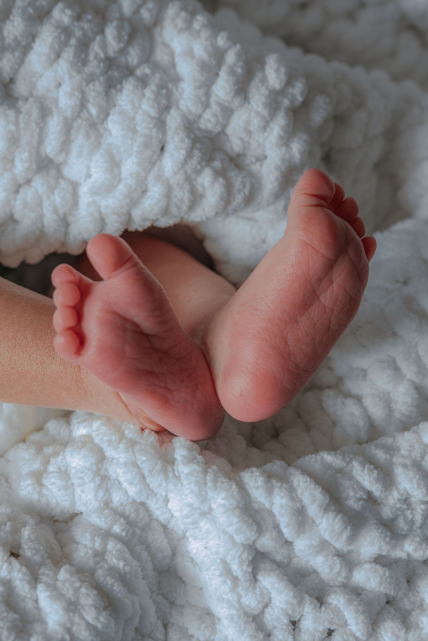 In-home newborn photography, close up of baby feet