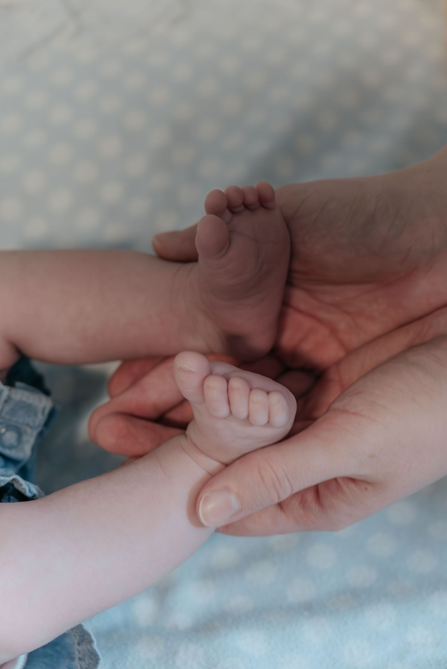 Close-up of newborn baby’s tiny feet and toes