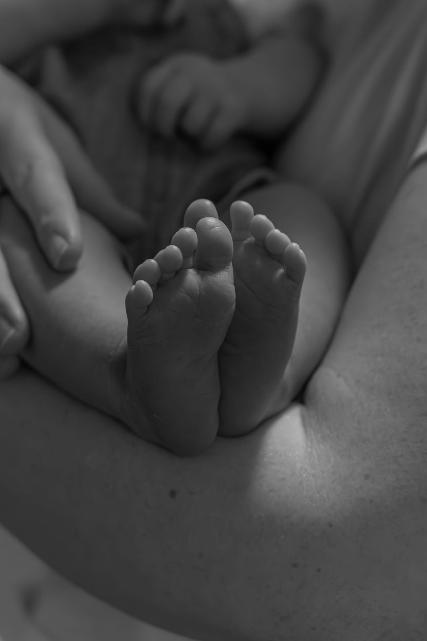 In-home newborn photography in Charlottetown, PEI