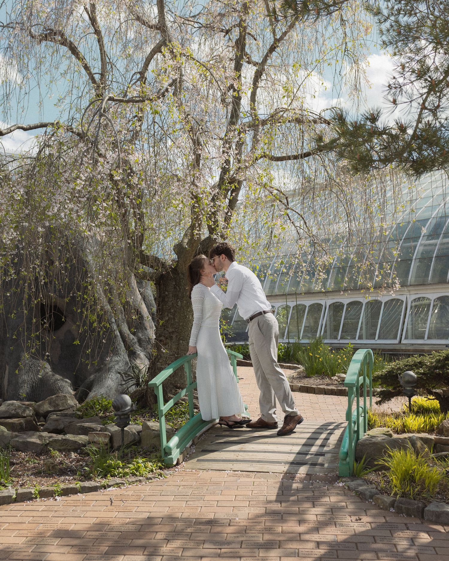 Couple sharing a kiss on a green bridge under a weeping tree at a botanical garden wedding.