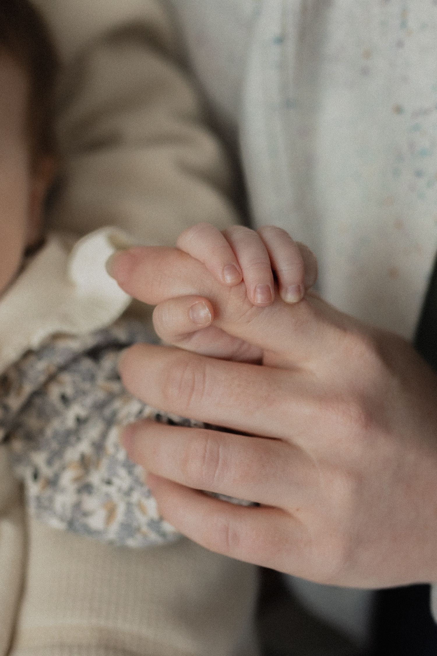 Close-up of a tiny baby hand gently holding an adult finger.