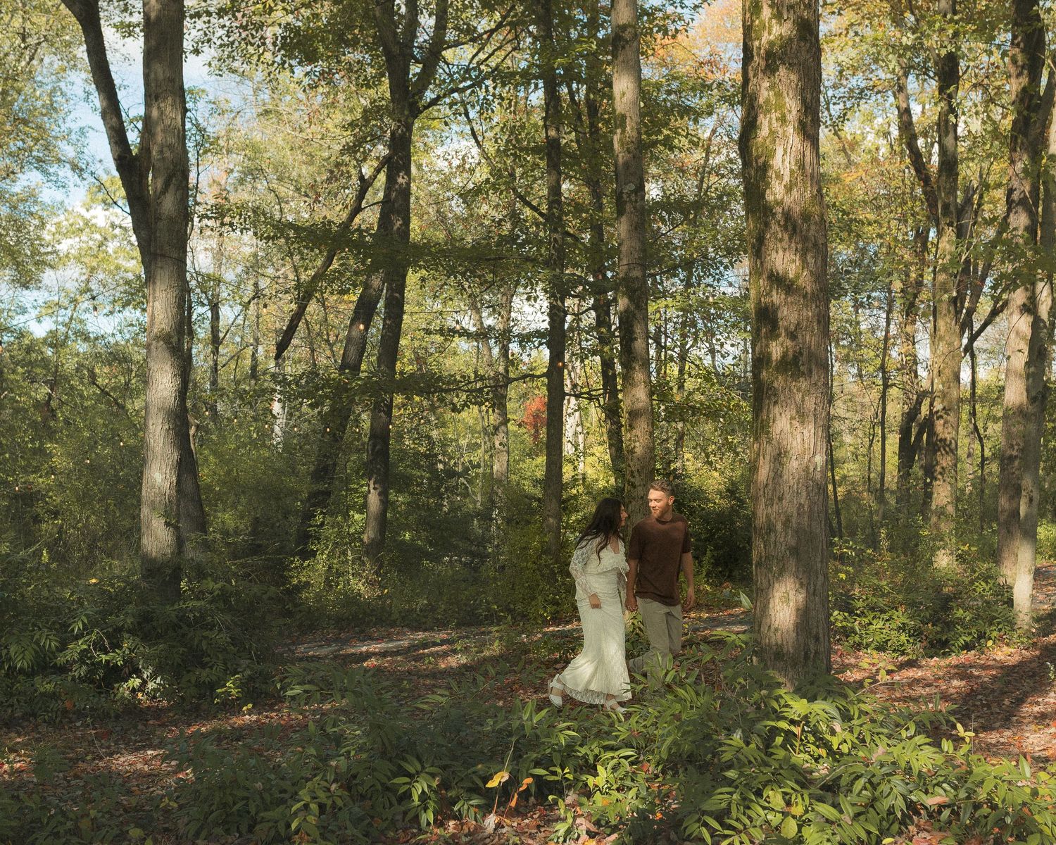A panoramic view of a sunlit forest with tall trees and scattered fallen autumn leaves on the ground.