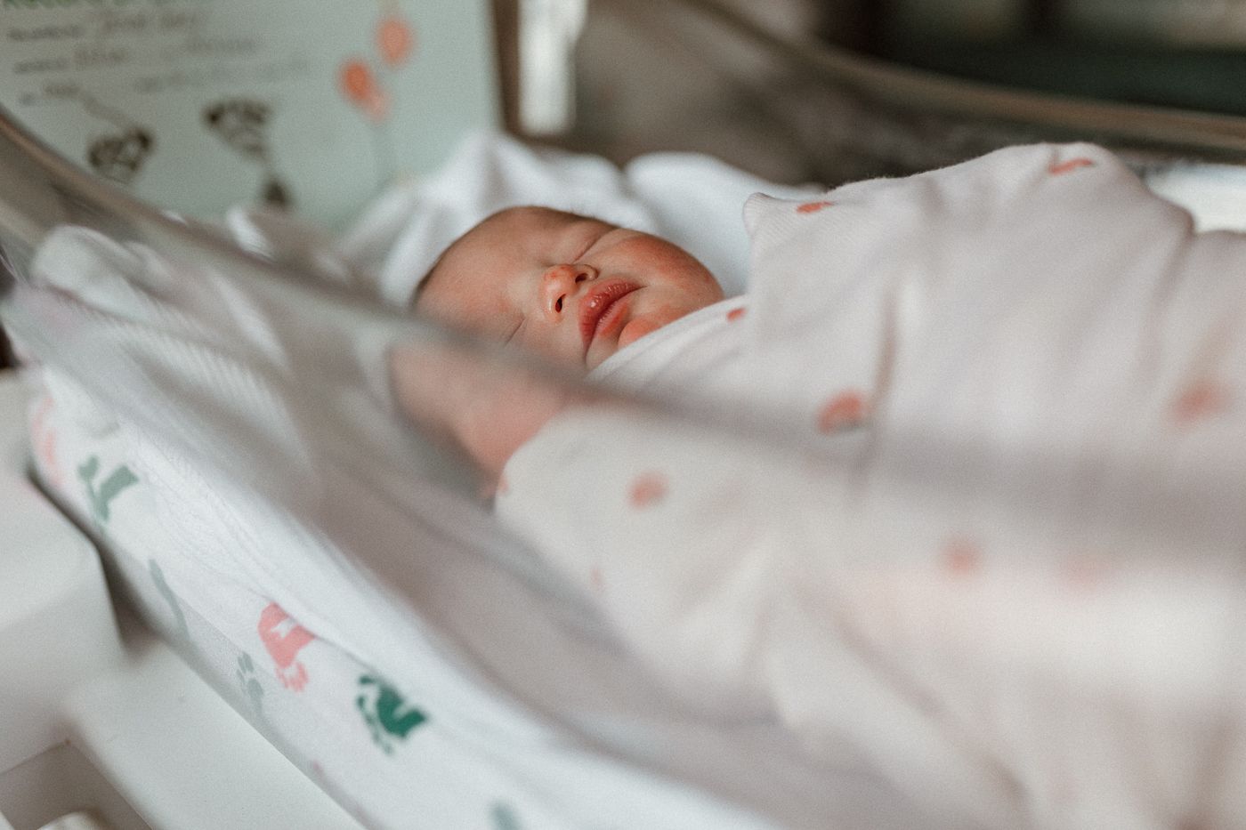 Hospital newborn wrapped in swaddle, resting in bassinet with nursery-themed wall, sweet and simple fresh 48 photography.