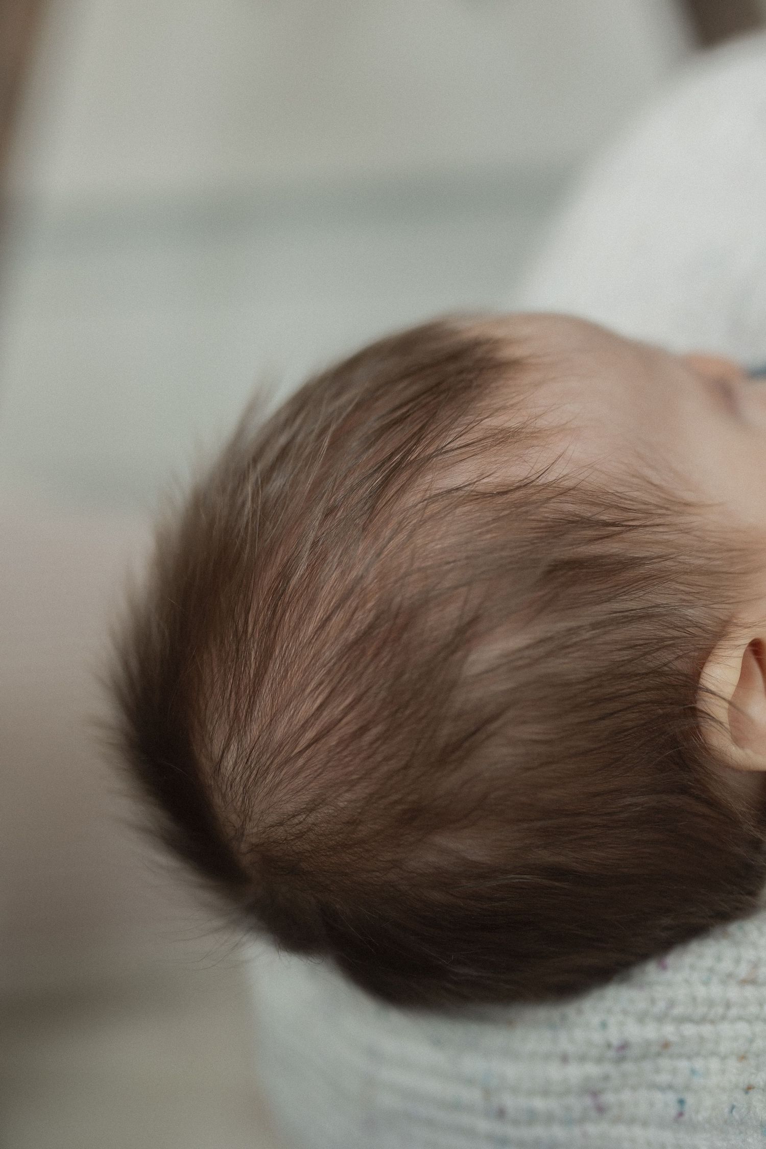 Close-up view of a baby's soft brown hair in gentle lighting.