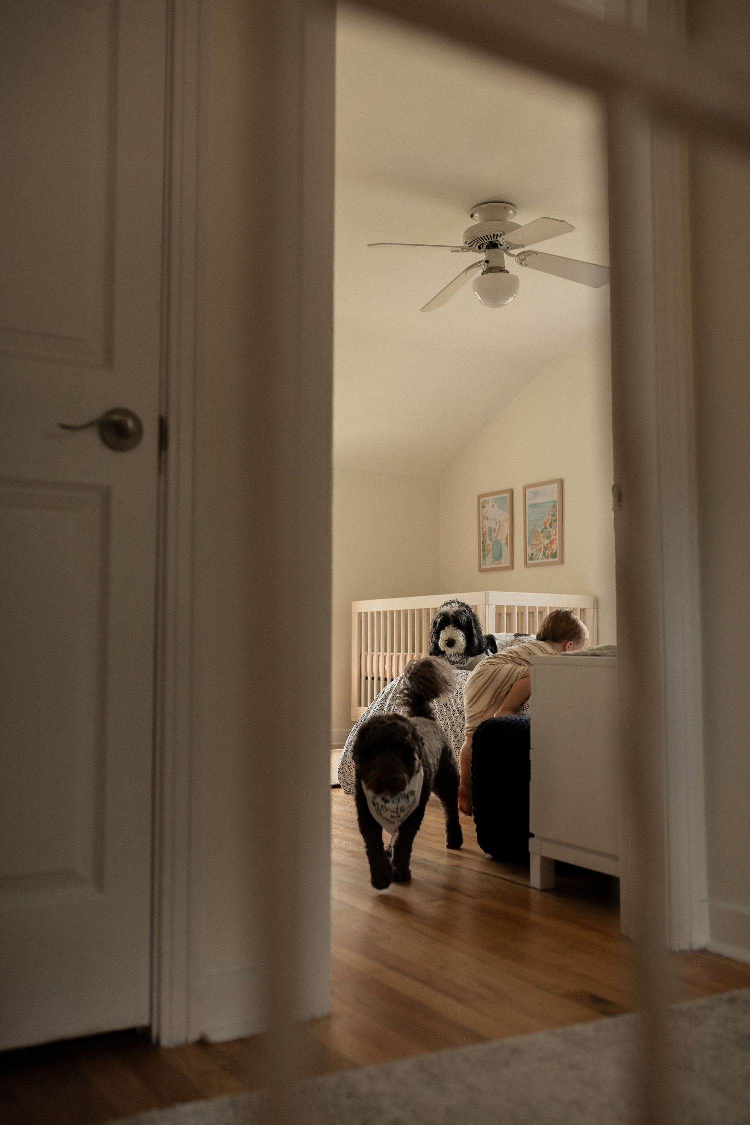 View through doorway of a nursery room with a dog and hardwood floors.