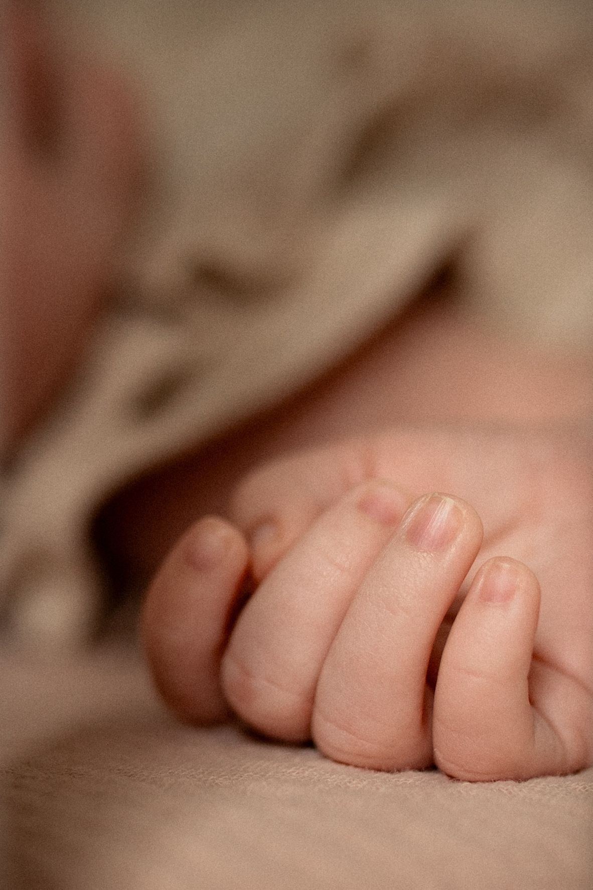 Close-up photograph of tiny baby fingers on soft fabric.