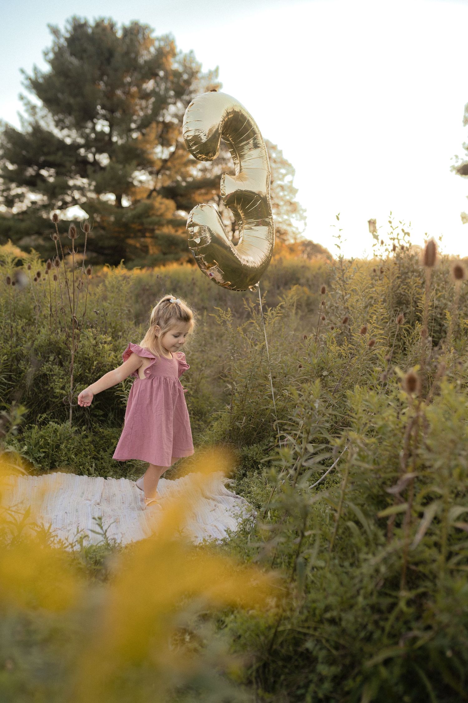Child in pink dress explores meadow with metallic balloons floating overhead.
