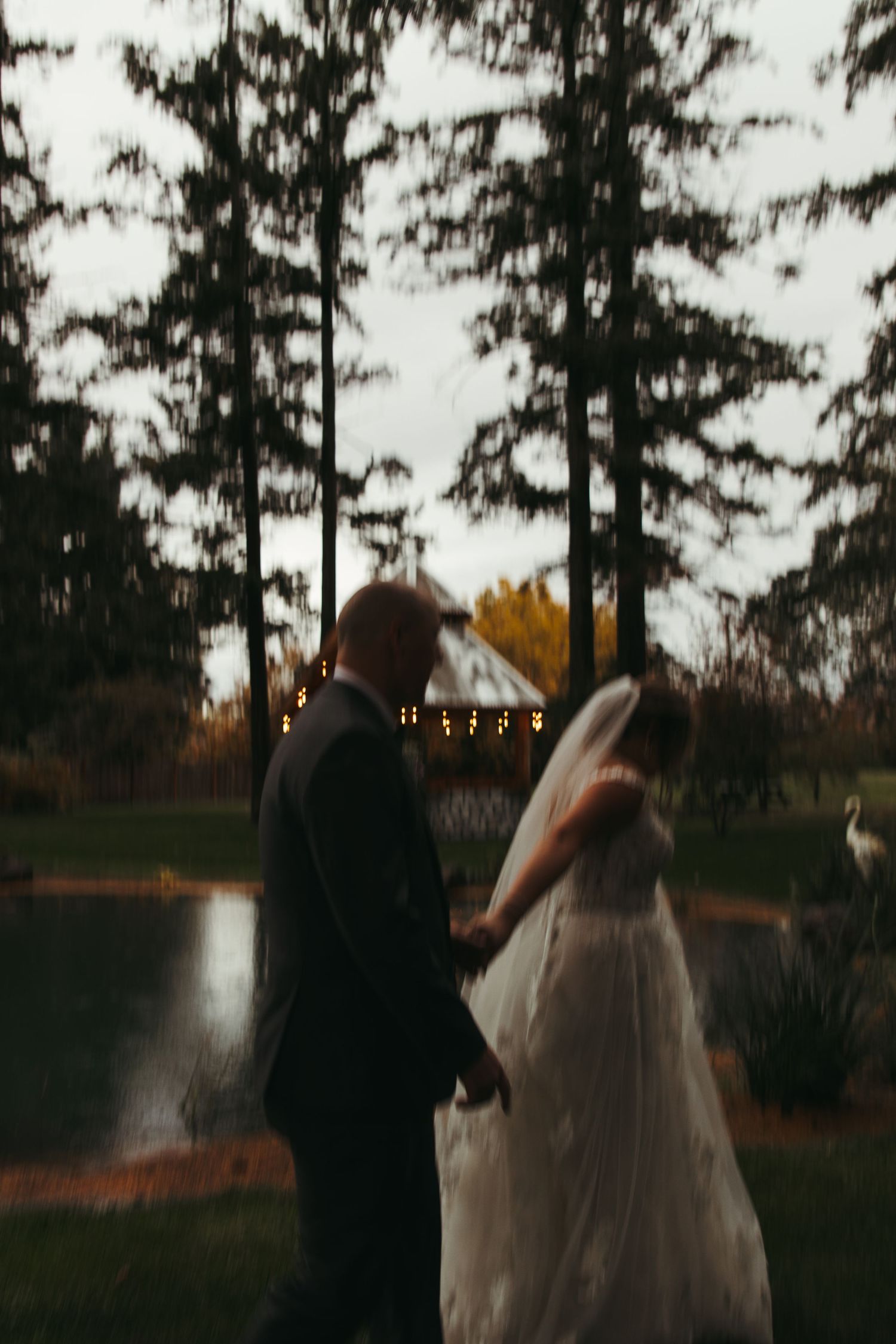 Silhouetted bride and groom holding hands at dusk near a pond with string lights in the background.