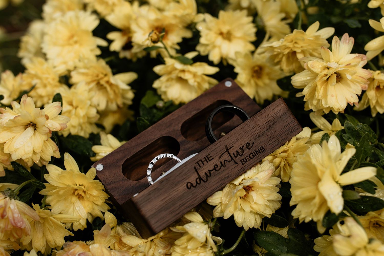 Wedding rings displayed in engraved wooden box surrounded by yellow chrysanthemum flowers.