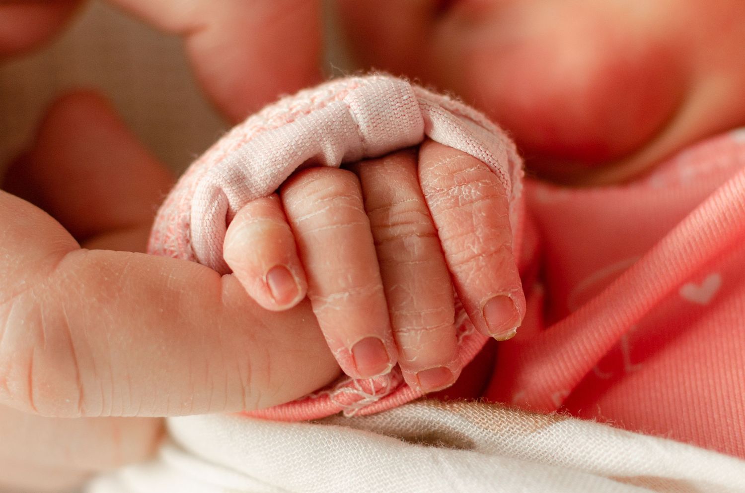 Newborn portraiture