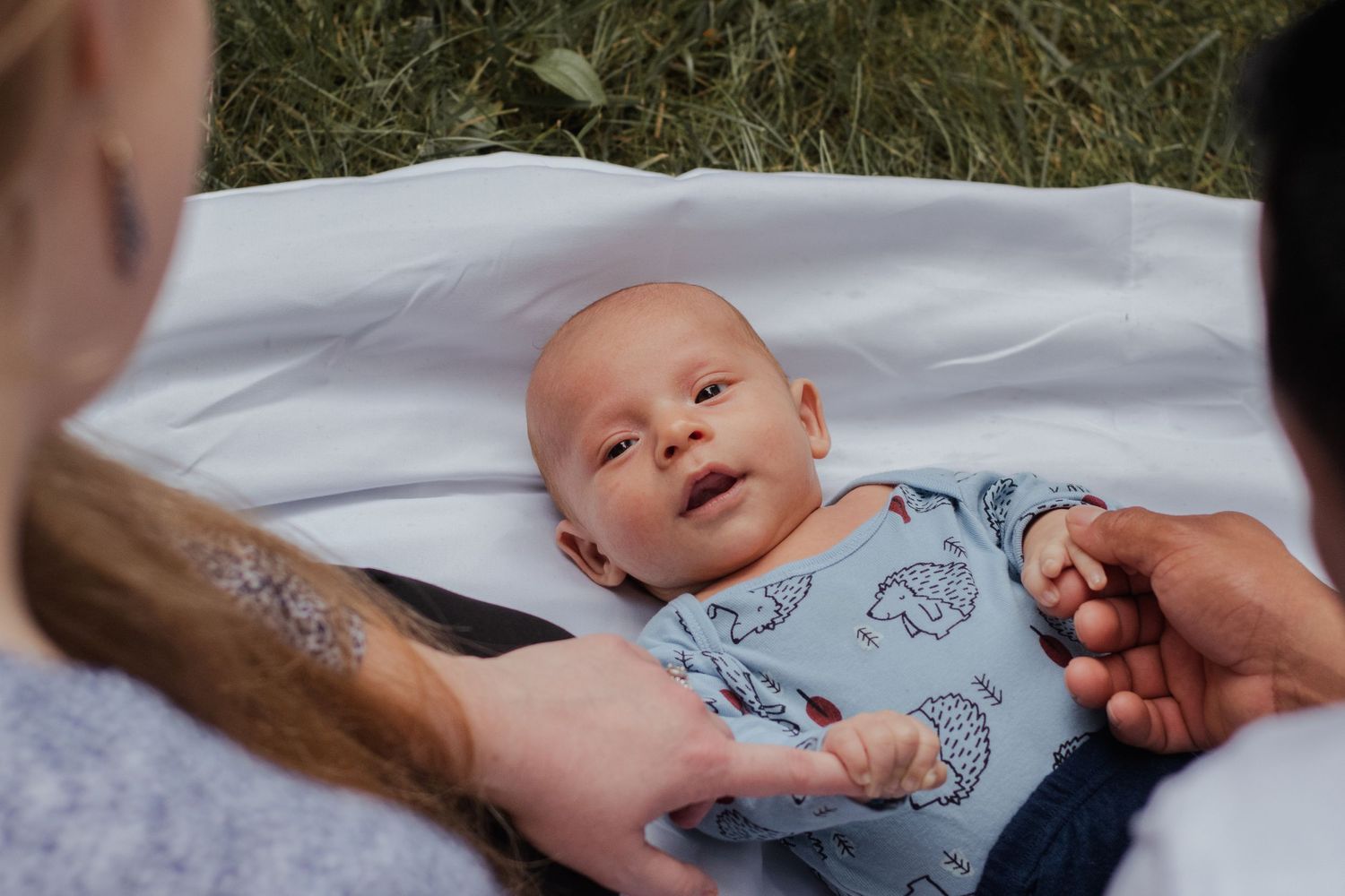 Family + Newborn portraits