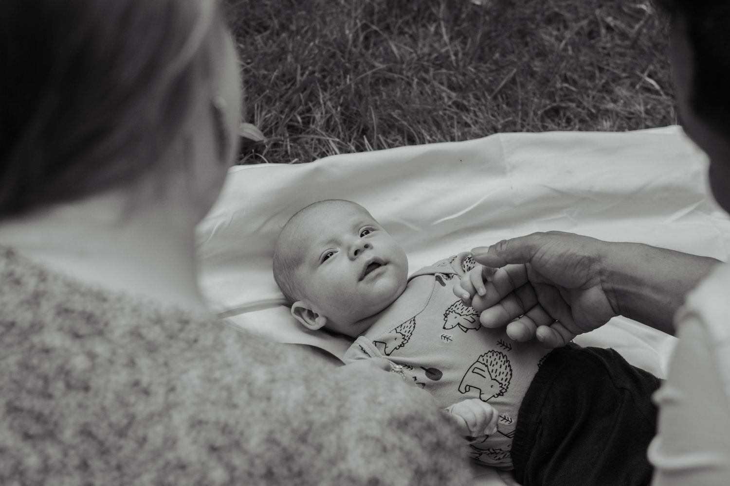 Family + Newborn portraits