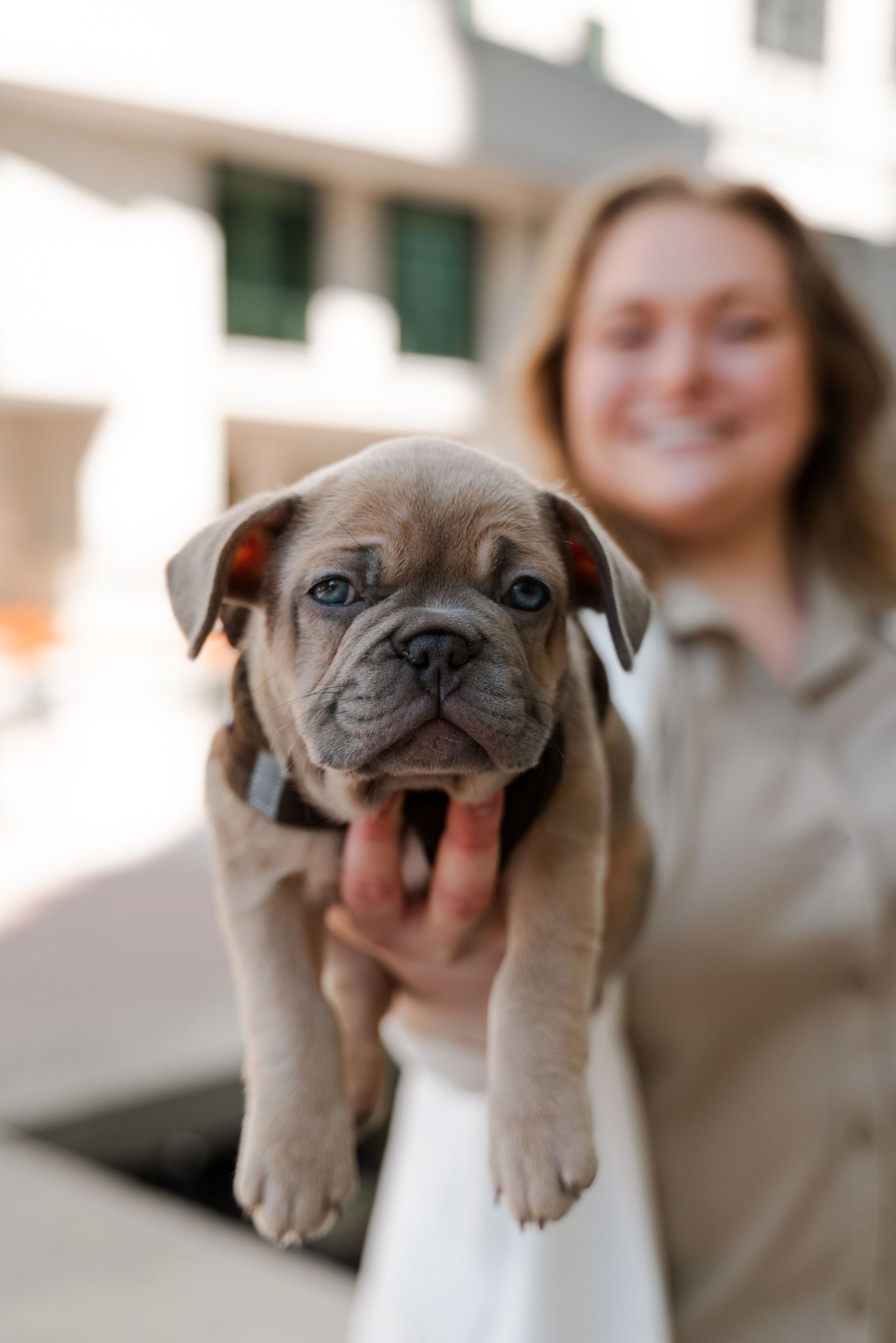 Pet portraiture
