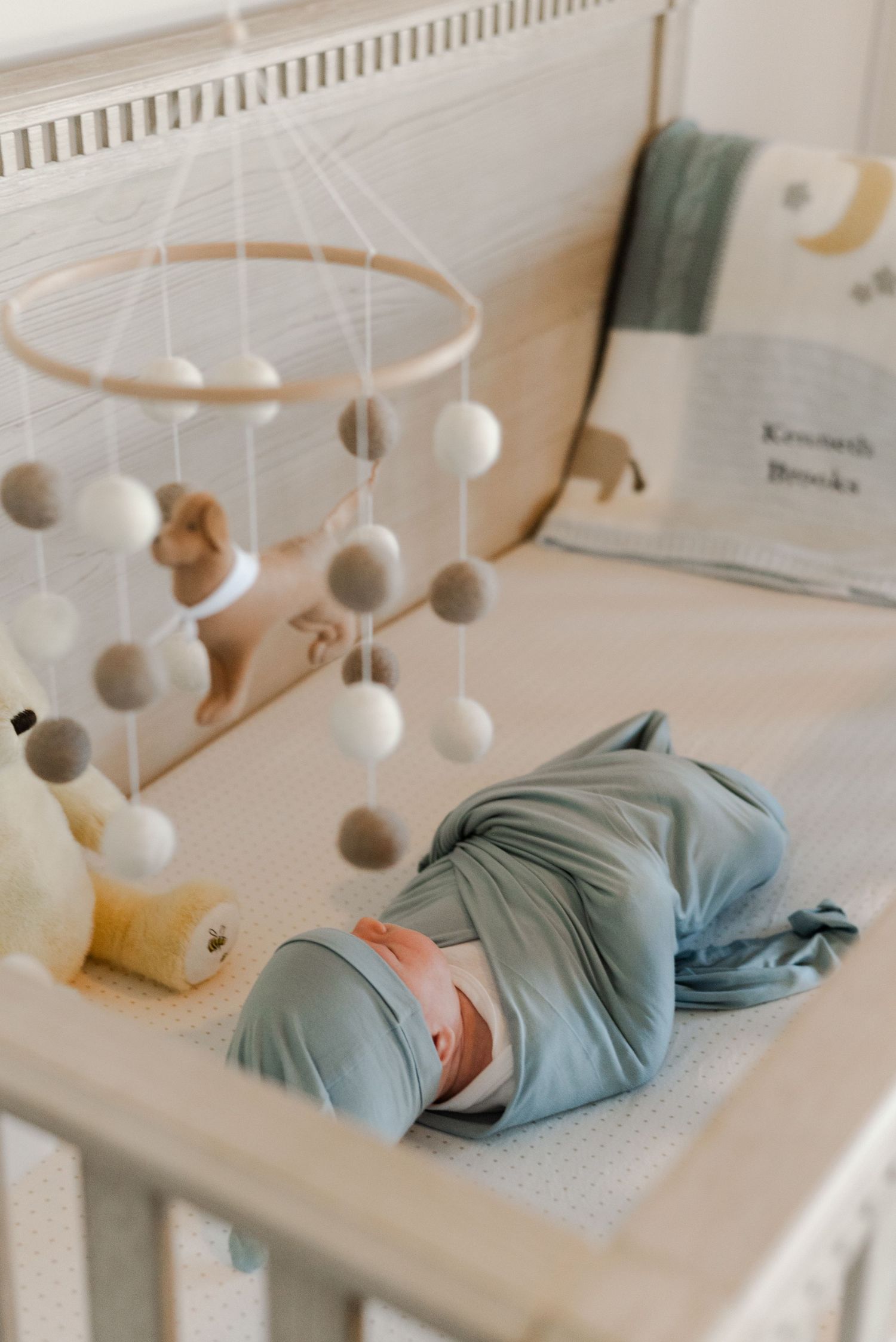 Newborn portraiture