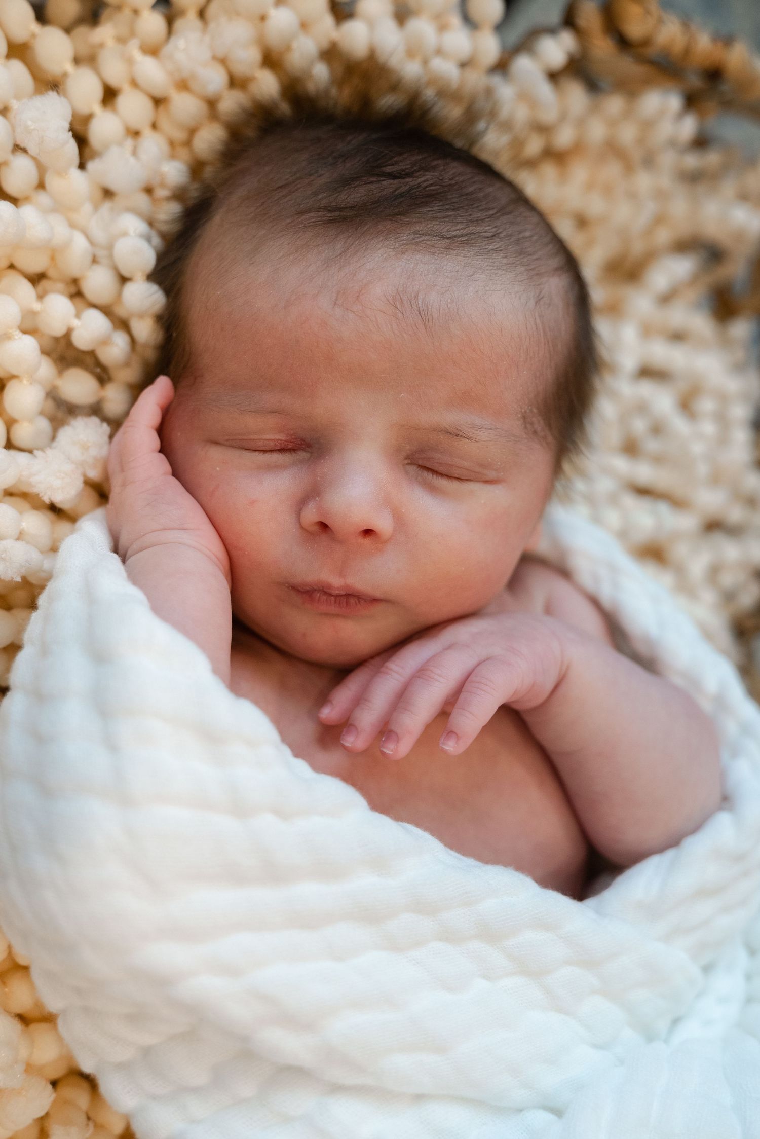 Newborn portraiture