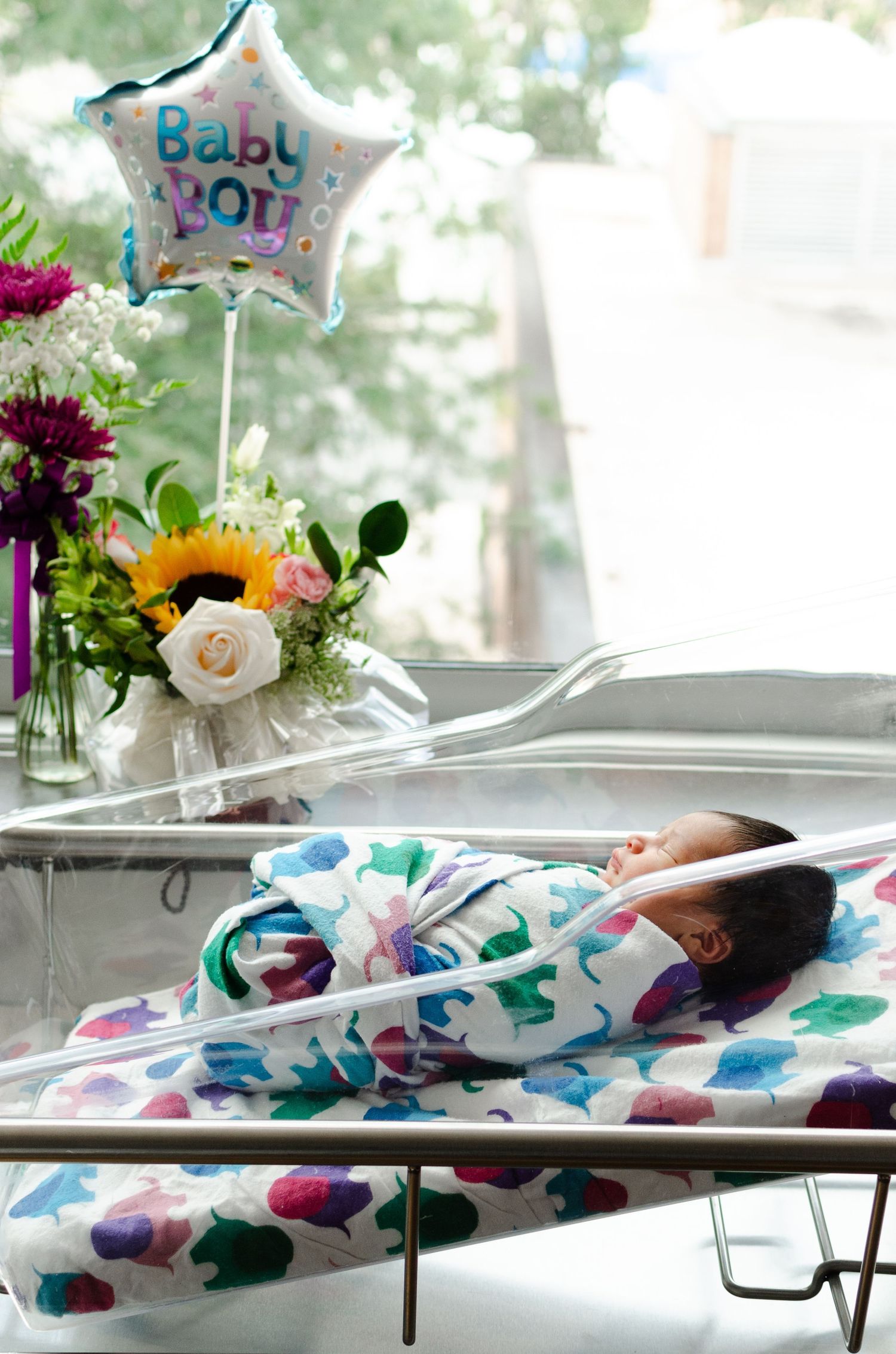 Newborn portraiture