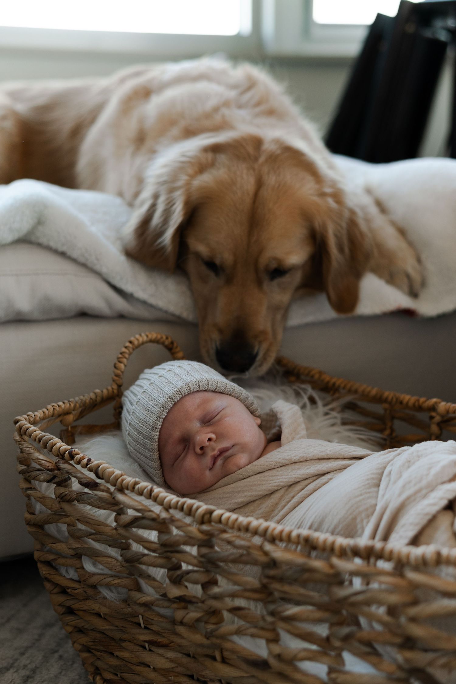 Newborn portraiture