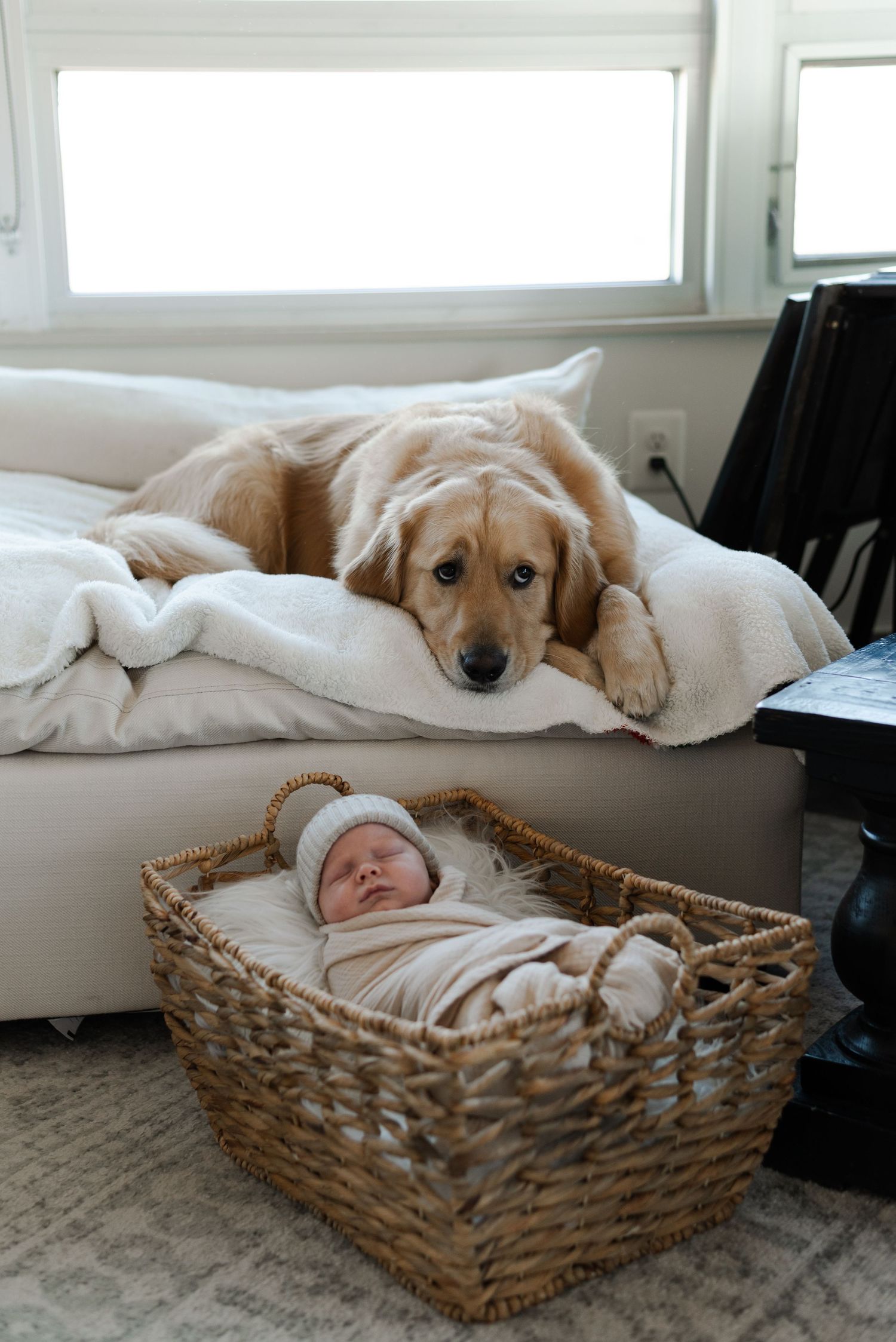 Newborn portraiture