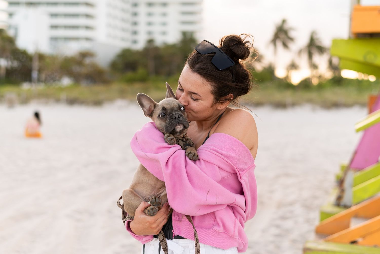 Pet portraiture