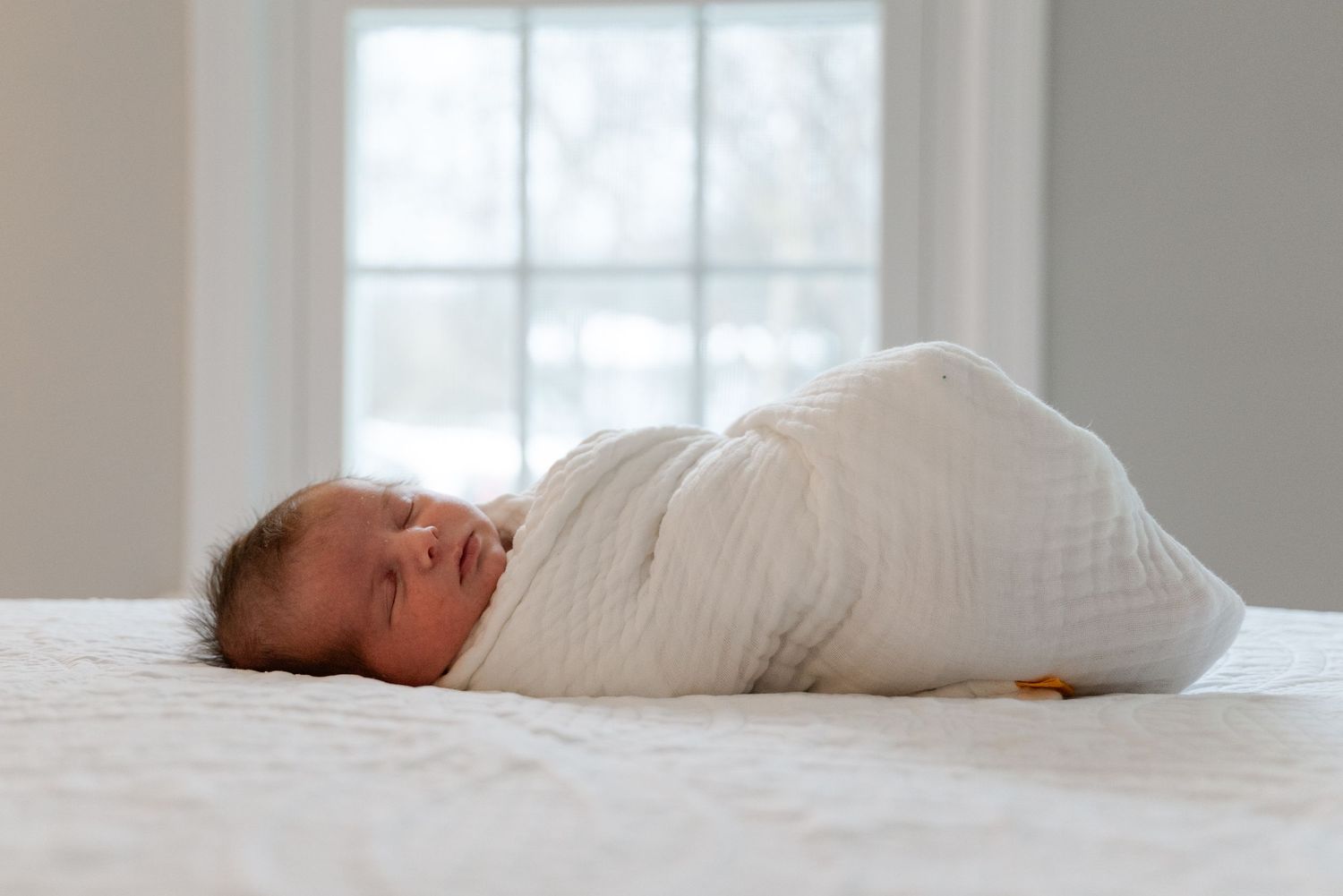 Newborn portraiture