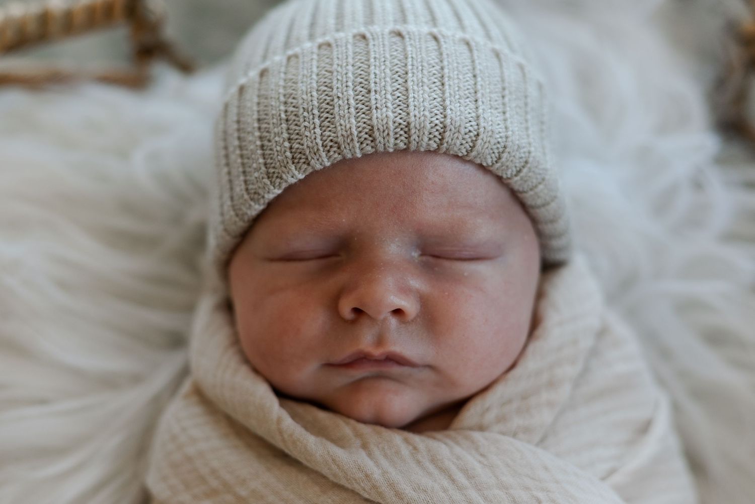 Newborn portraiture