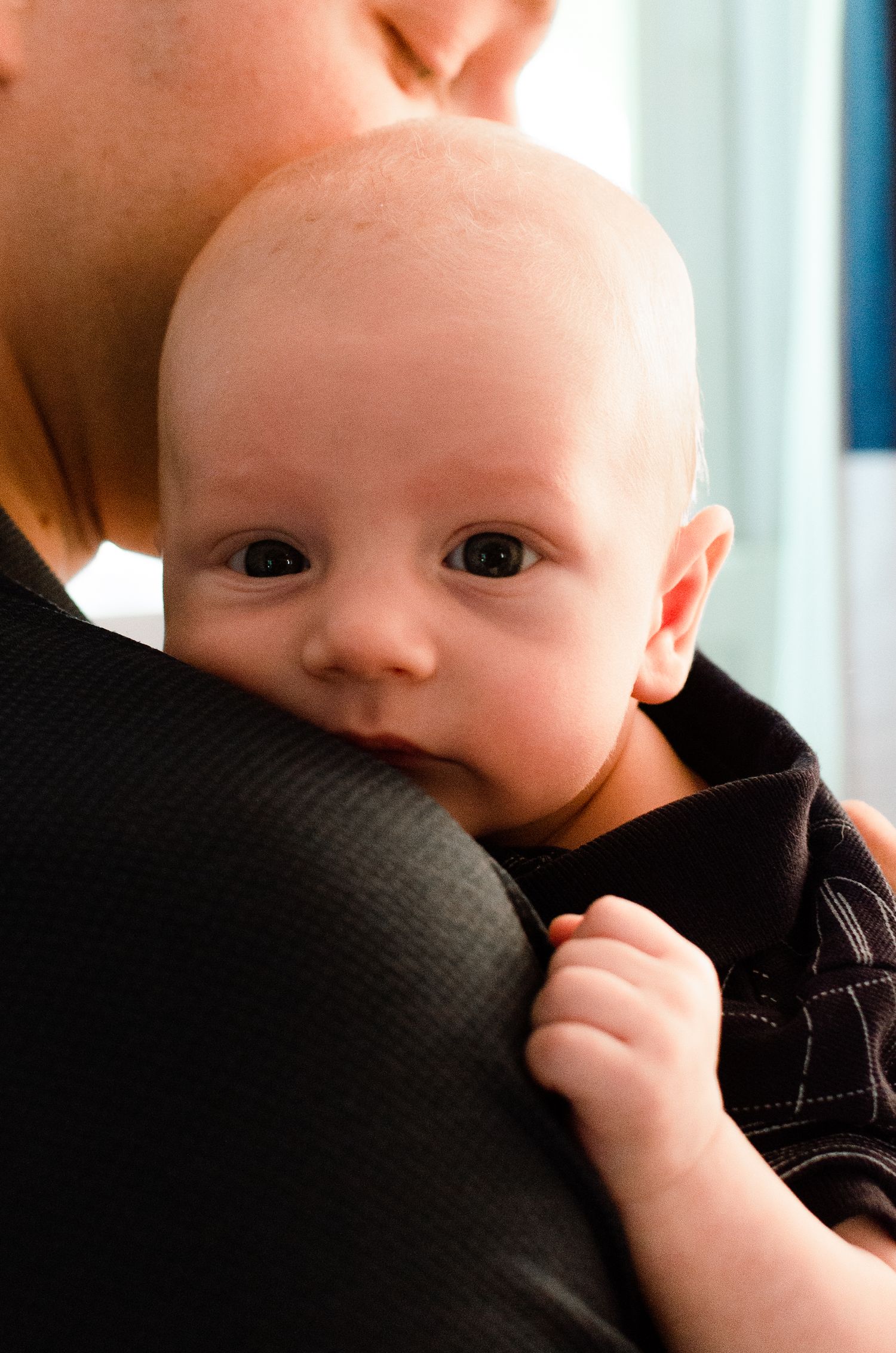 Family + Newborn portraits