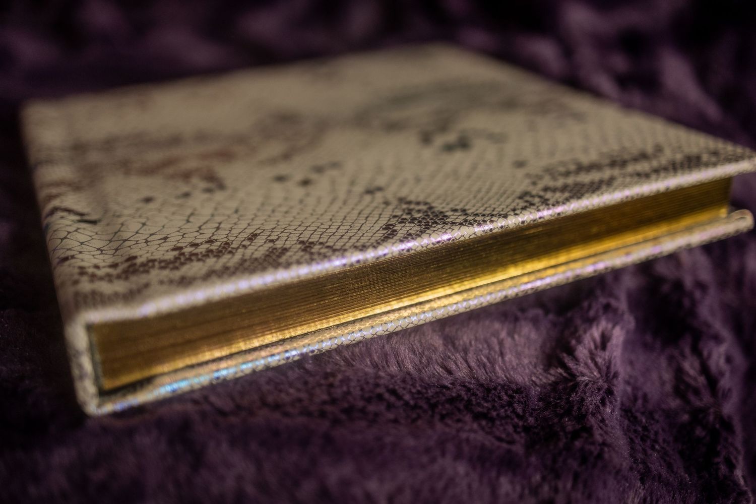 Sheila Pevey Boudoir published photographer in Georgetown, South Carolina