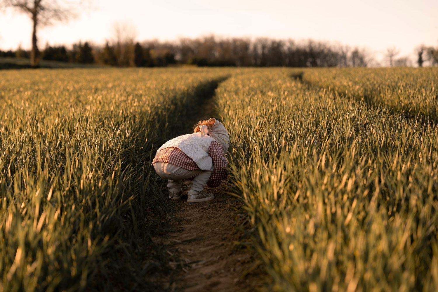 A young child crouching in a dirt path between rows of green grass in a golden sunset field.