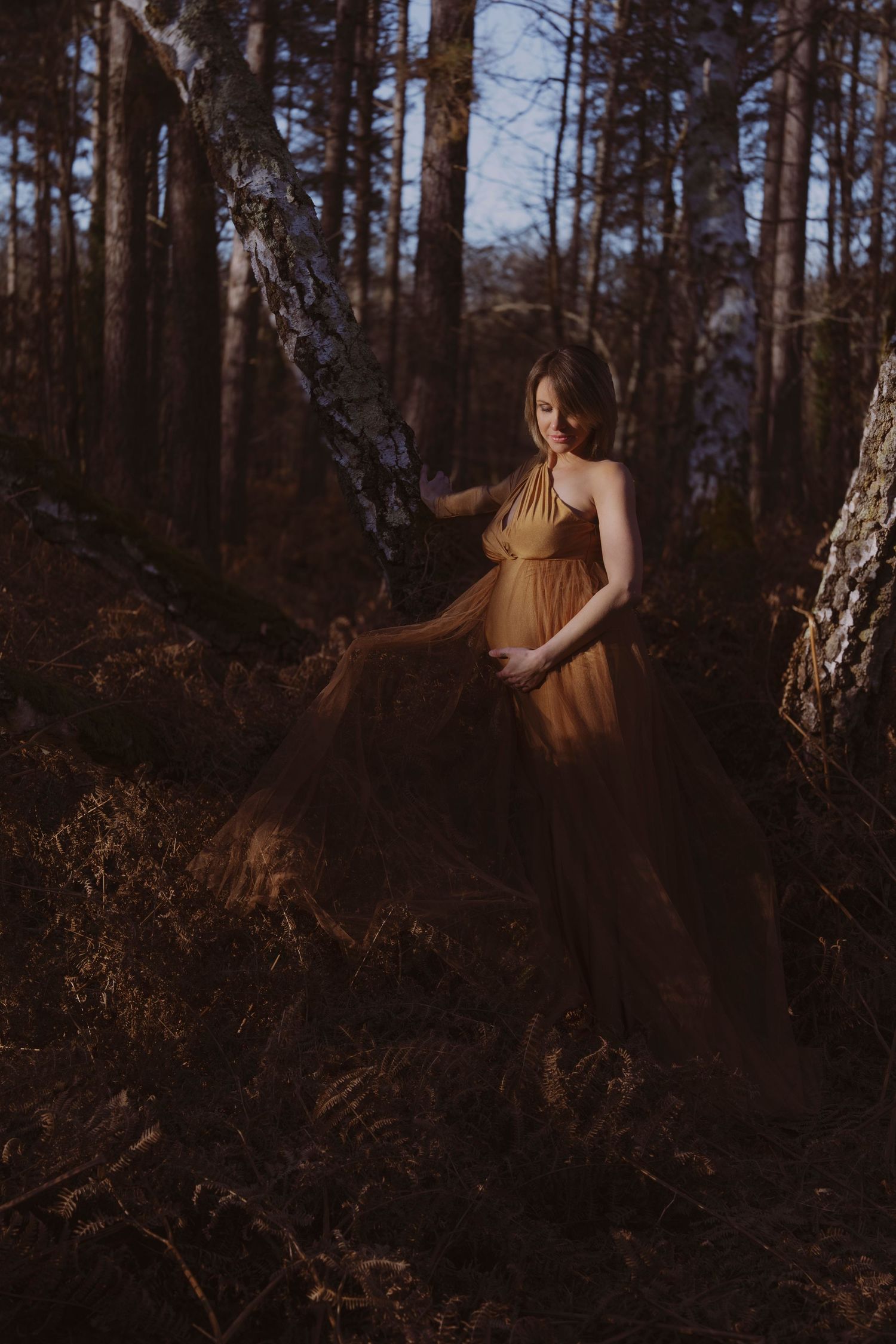 Séance lifestyle grossesse en forêt automnale lumière du soir, en Sologne.
