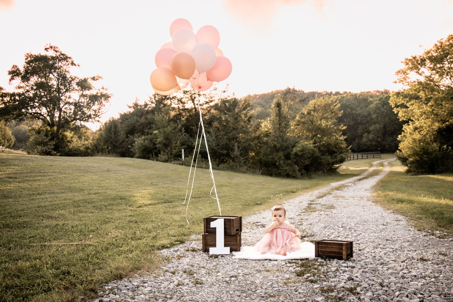 Baby sitting on a gravel road holding a pink balloon during a first birthday photo session