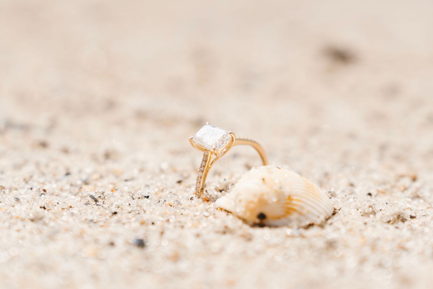 Jacksonville, Emerald Isle, Wilmington, Surf City, Carolina Beach Photographer. Candid, Lifestyle Photographer. Engagement Photographer.