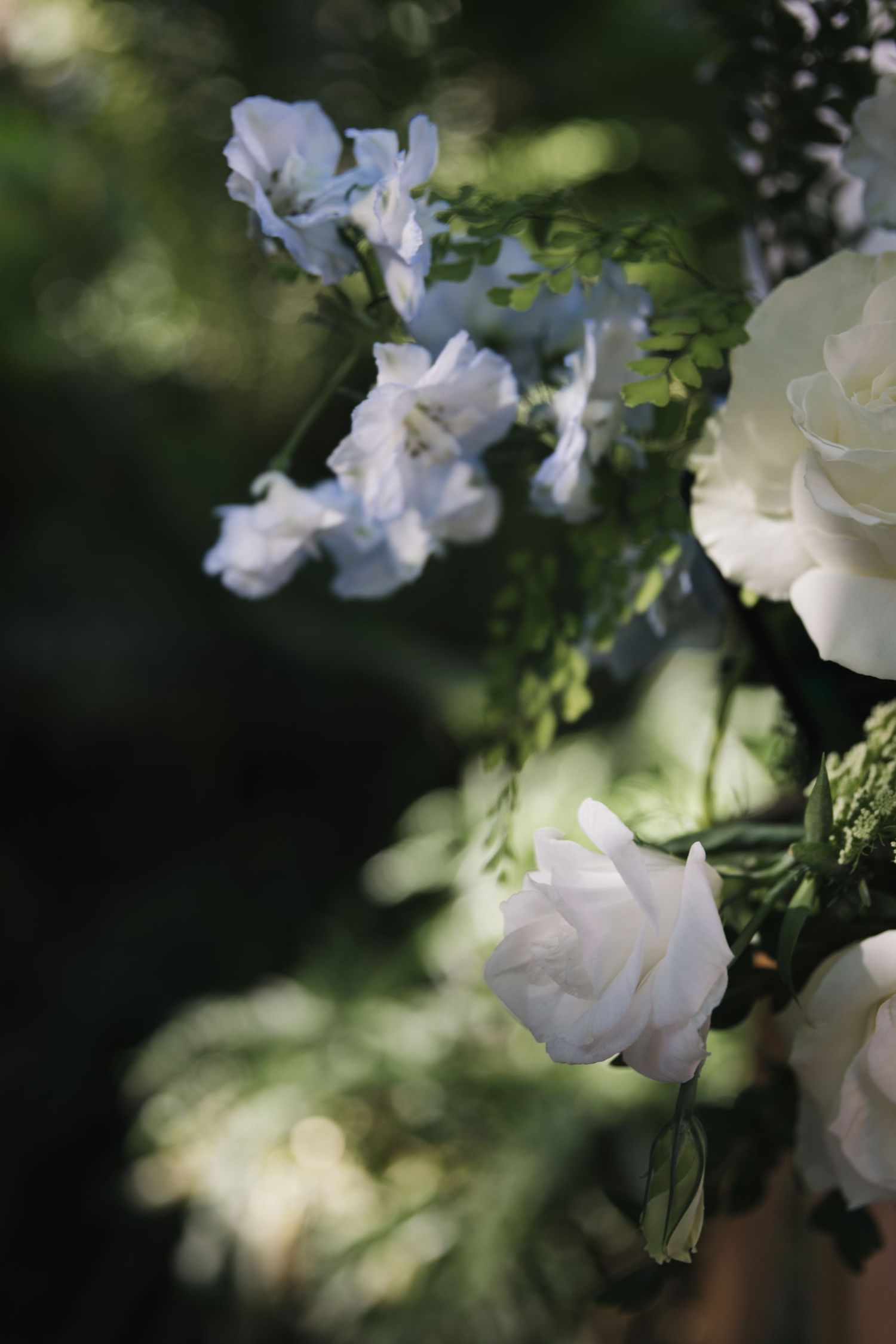 the gardens club Brisbane wedding photography courteney lee photography