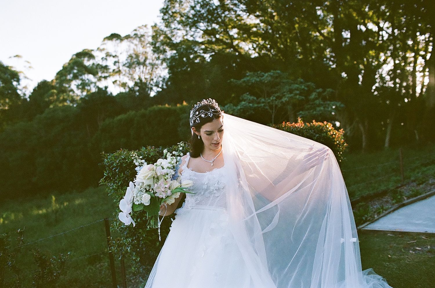 35mm film photographer Sunshine Coast, brisbane