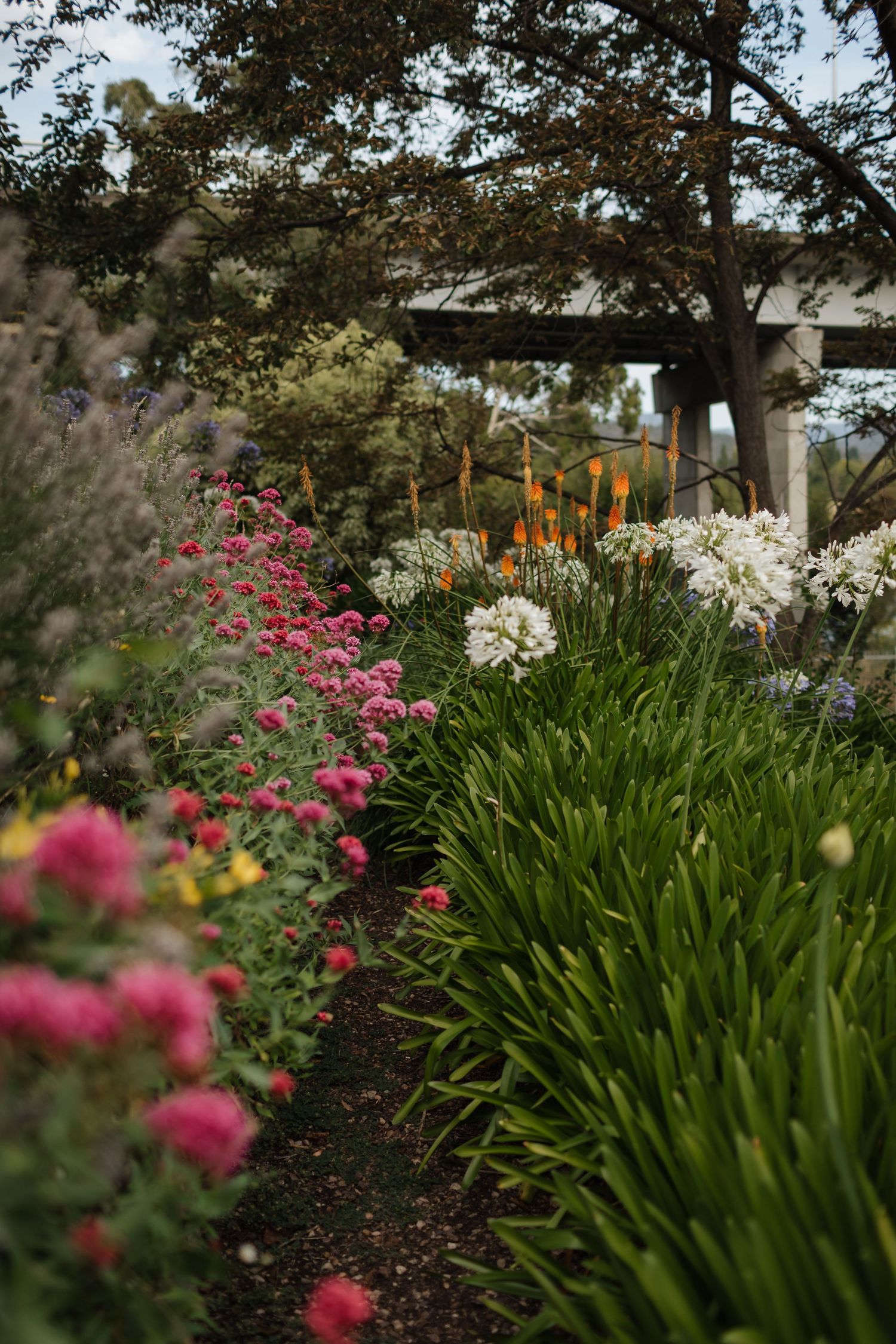 Tasmania wedding photographer, Hobart wedding photographer, Launceston wedding photographer