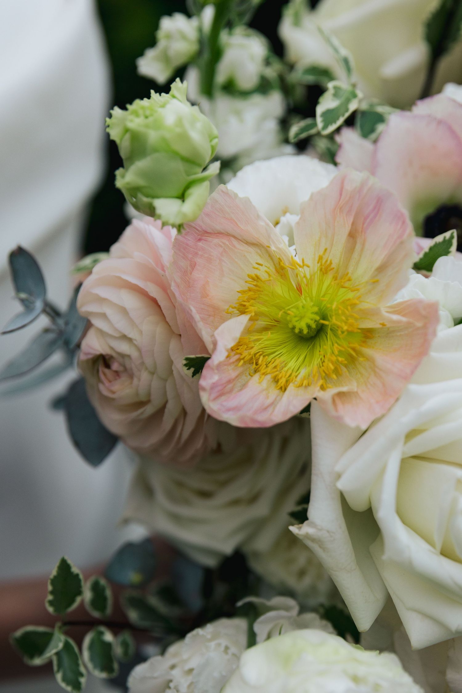 The Singing Heart Estate Elopement Sunshine Coast wedding photographer Courteney Lee photography