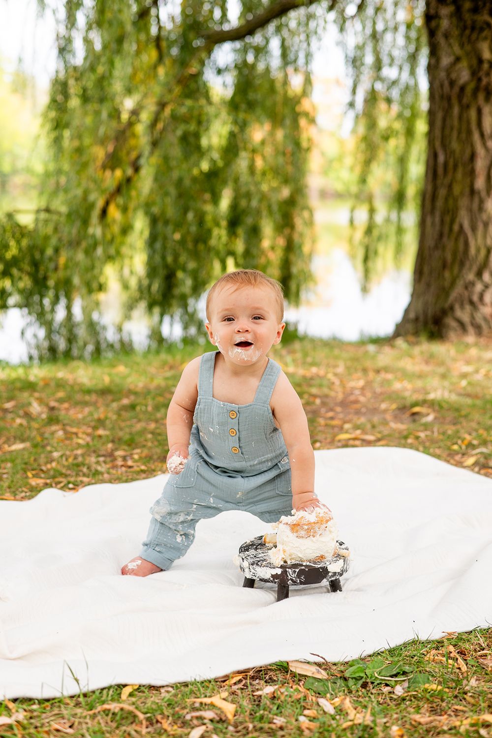 A toddler in blue overalls sits on white blanket near willow tree with smashed cake for first birthday photoshoot.