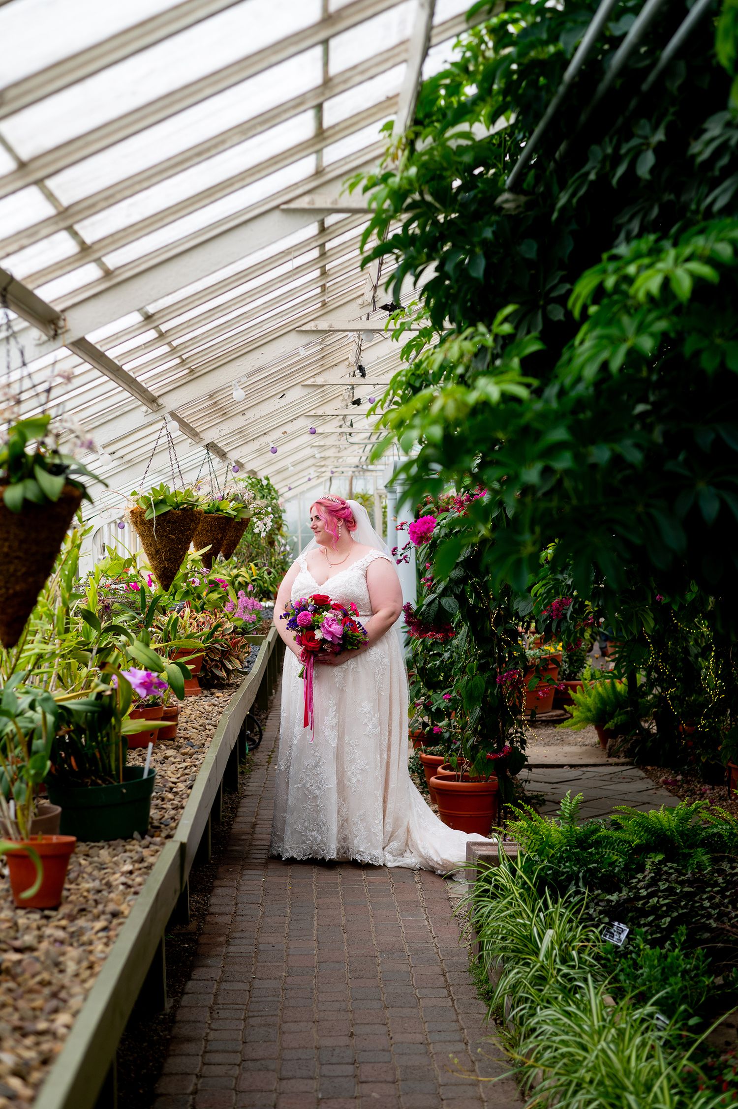 Bride in lace wedding gown holding colorful bouquet stands in lush greenhouse aisle surrounded by tropical plants.
