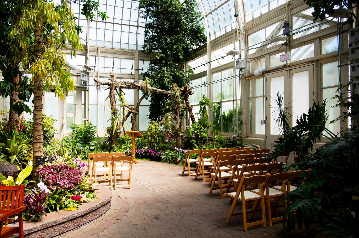 Indoor botanical garden wedding venue with wooden chairs, lush tropical plants, and a natural wood arch under a glass ceiling.