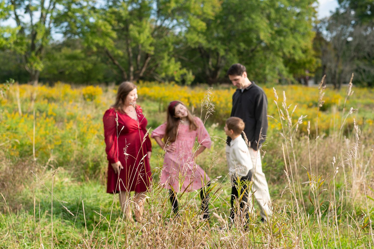 Family of four standing in a sunny meadow with wildflowers and trees, wearing elegant outfits for an outdoor portrait.