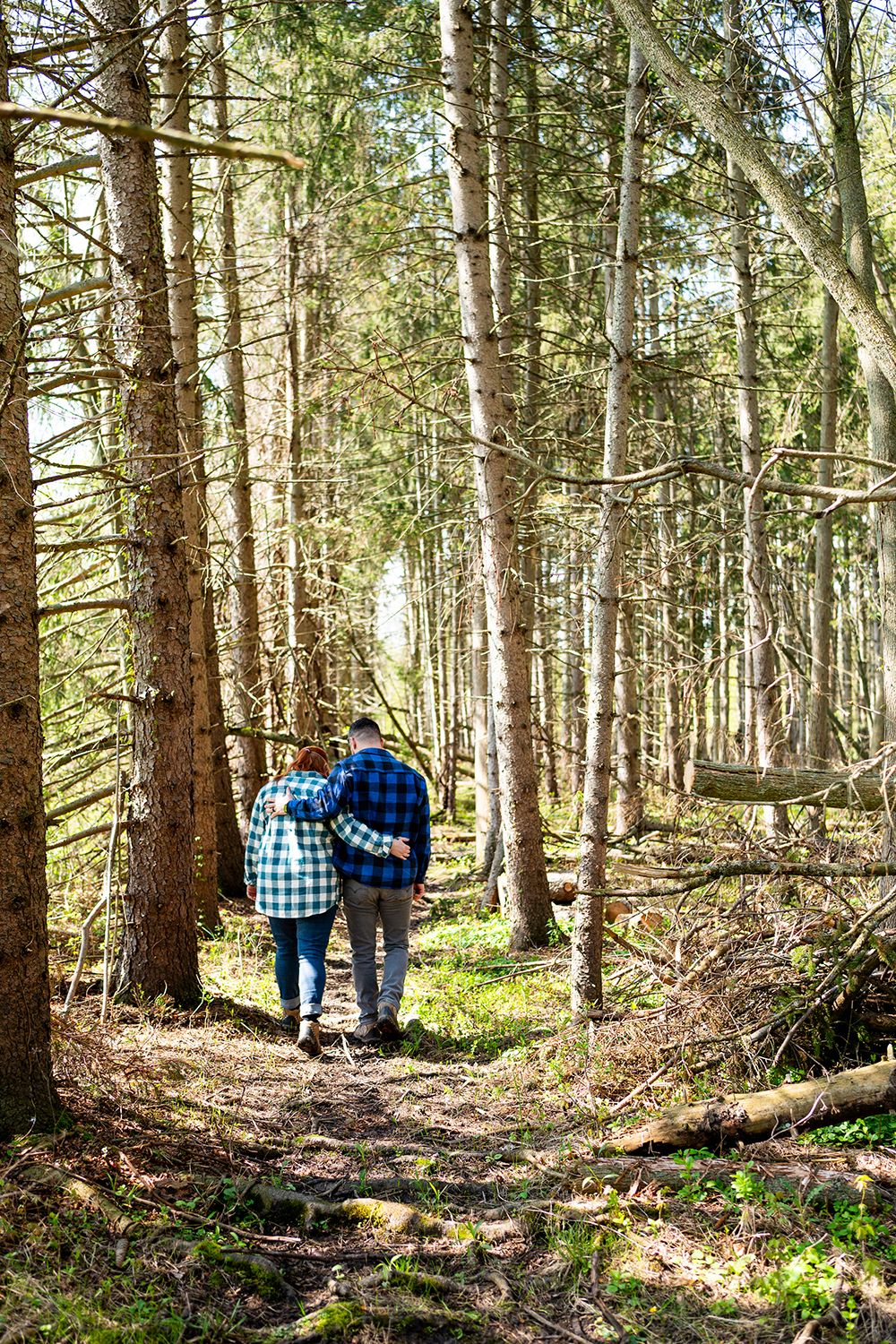 People in plaid shirts walk along a sunlit forest trail surrounded by tall evergreen trees and undergrowth.