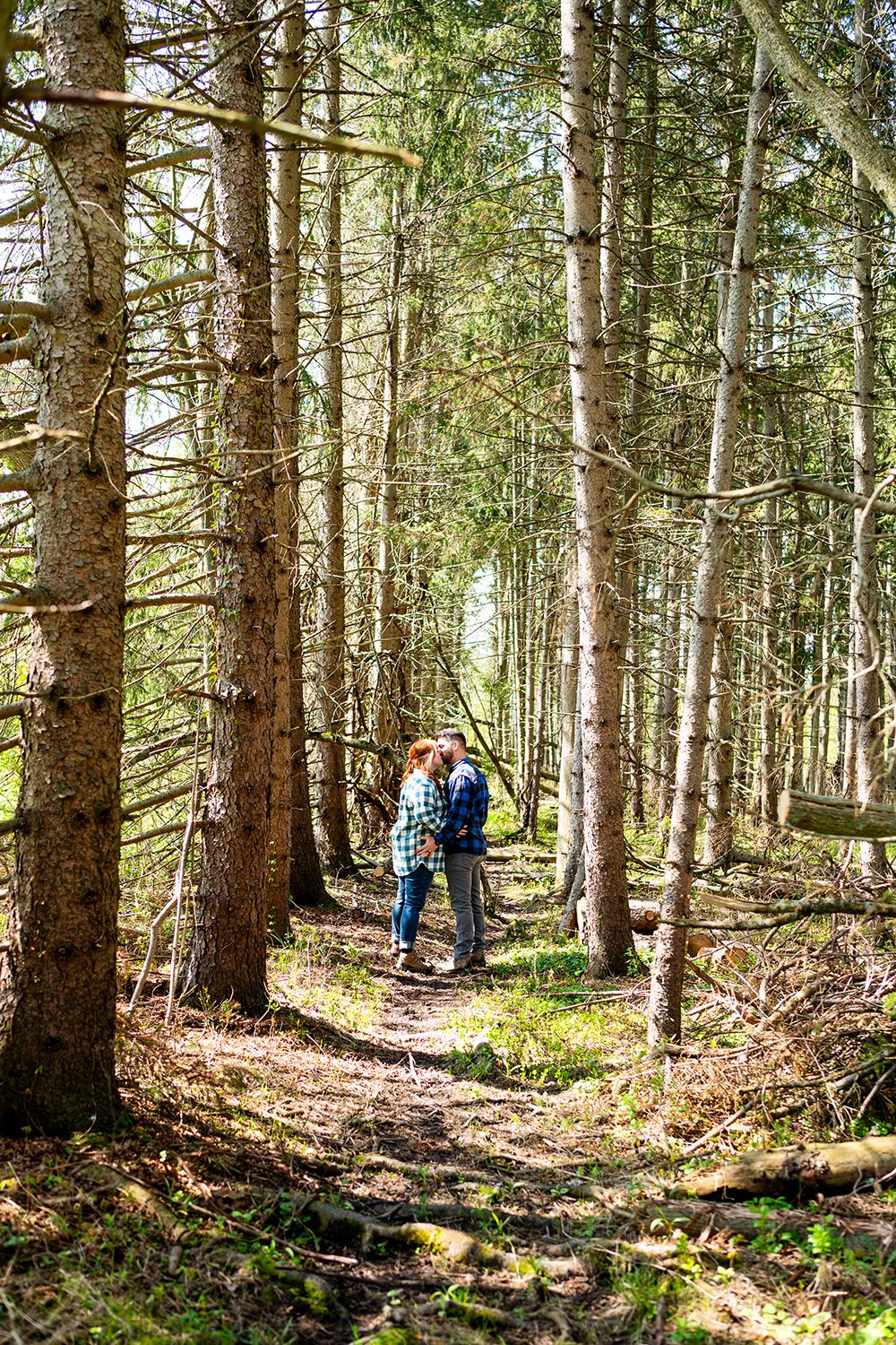 People hike through a sunlit evergreen forest trail bordered by tall pine trees and scattered patches of light.
