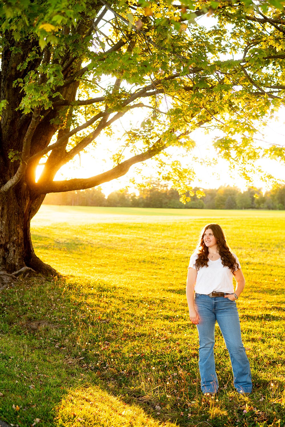 Woman reading book under large tree at golden sunset in grassy meadow with autumn leaves.