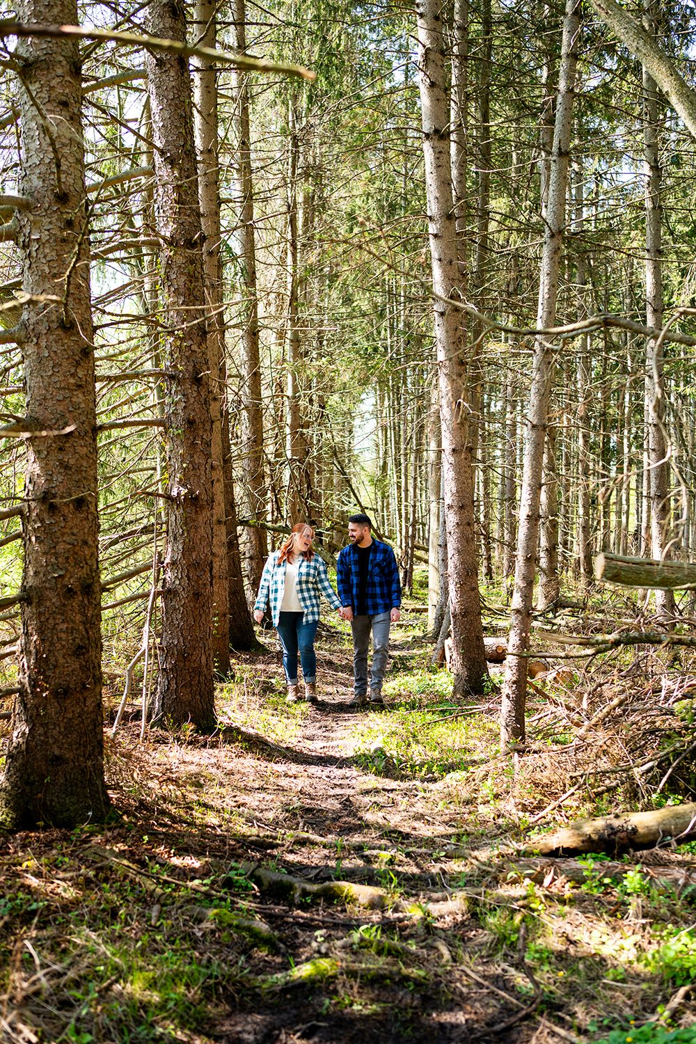 Two hikers walk through a sunlit coniferous forest along a winding dirt trail in the wilderness.