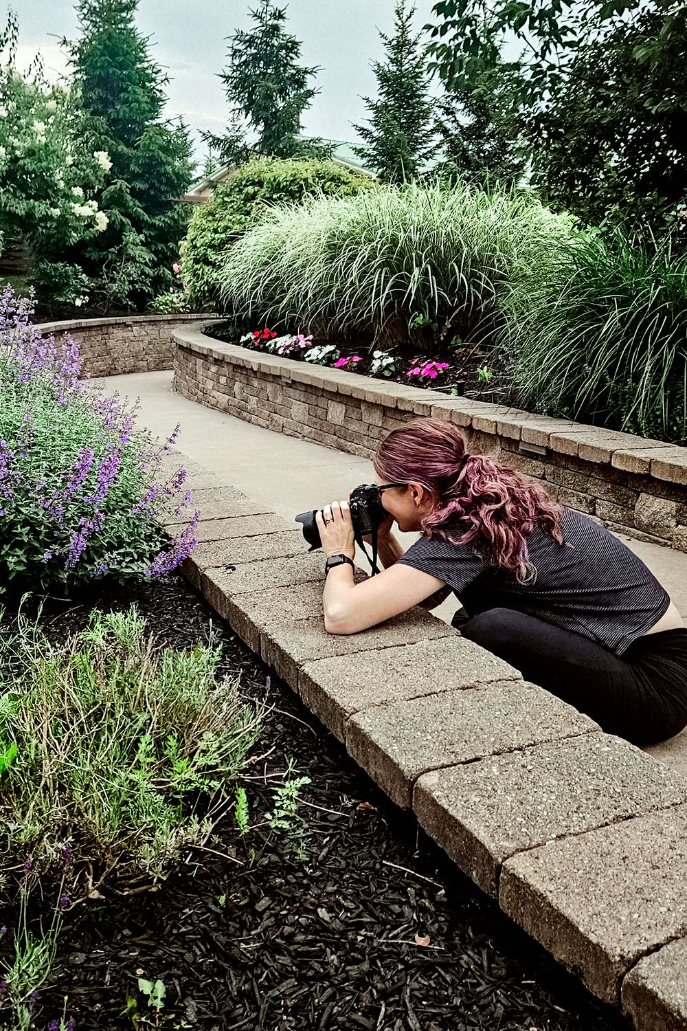 A photographer lies on stone steps to capture shots of purple flowers and ornamental grasses in a garden setting.